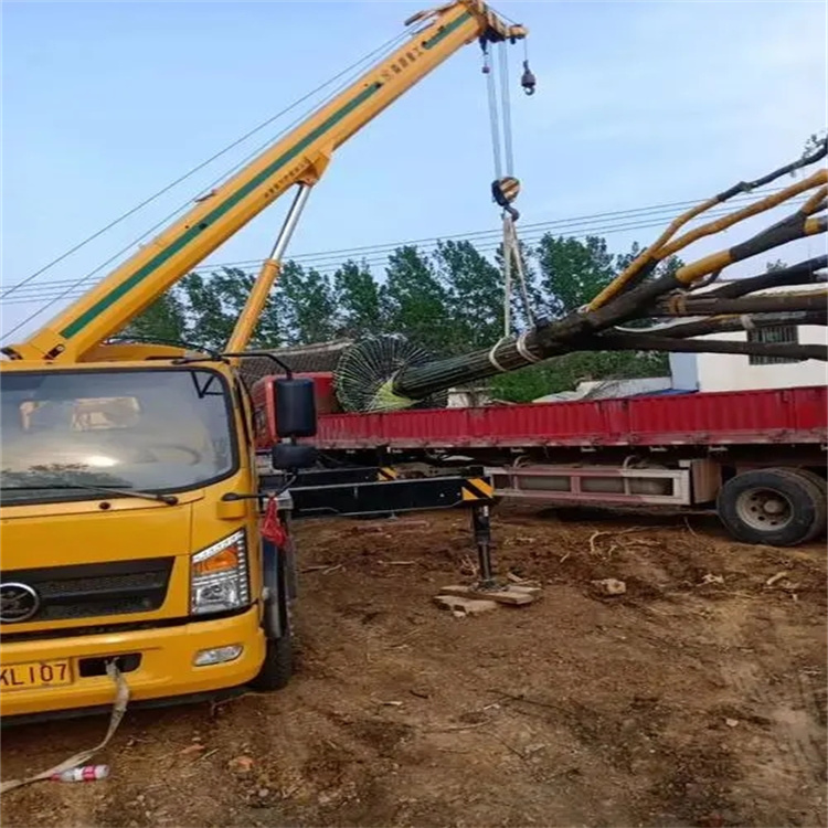 张湾100吨吊车租赁费用怎么算？3大关键因素+省钱技巧全解析